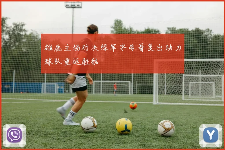 雄鹿主场对决绿军字母哥复出助力球队重返胜轨